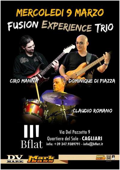 DOMENIQUE DI PIAZZA TRIO *SPECIAL EVENT*